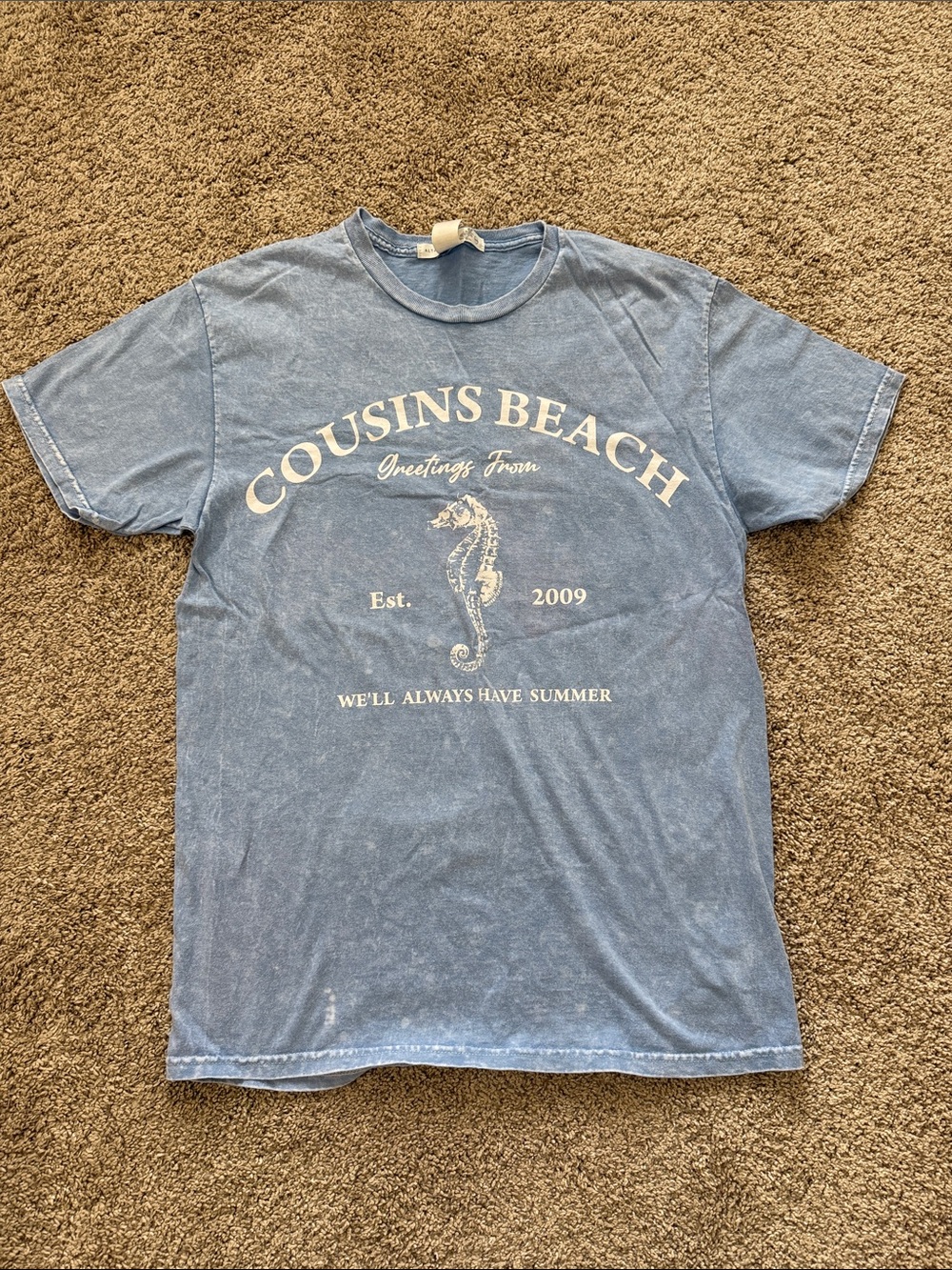 Men's Blue Graphic Tee